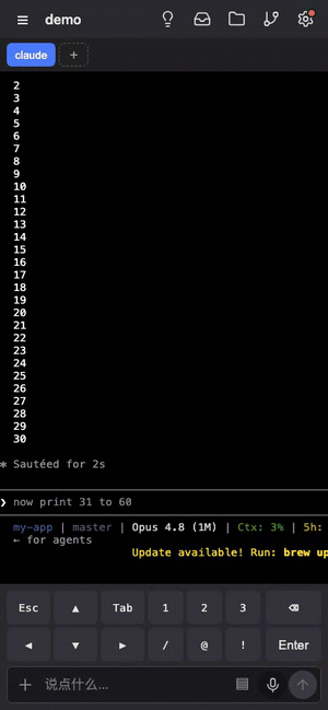 handmux on a phone: a Claude Code permission prompt arrives and is approved with a tap
